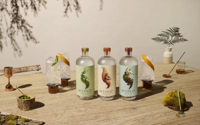 LockSmith partnering with Seedlip to deliver in-house marketing capability training